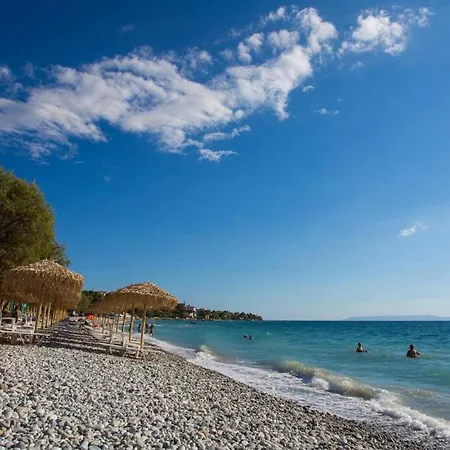 Green Flat Close To The Beach * Kalamata